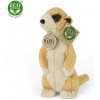 Eco-Friendly Rappa surikata 18 cm