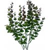 Umelý eukalyptus zelenobordový 40 cm