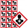 Arch GHS08 Látky nebezpečné pre zdravie