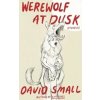 The Werewolf at Dusk: And Other Stories