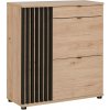 ASM Botník PEDRO TYP G dub hickory jackson/čierne lamely 94 cm x 90 cm x 35 cm