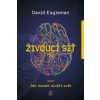 Živoucí síť aneb Jak mozek utváří svět - Eagleman David