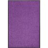 Hanse Home Wash & Clean 103838 Violett 90x150 cm Fialová