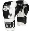 BUSHIDO Boxerské rukavice DBX B-2v3A