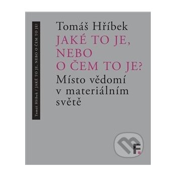 Jak é to je, nebo o čem to je? - Tomáš Hříbek