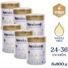 6x Kendamil Premium 4 HMO+ (800 g)