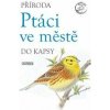Příroda do kapsy: Ptáci ve městě