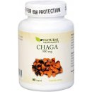 Natural Medicaments Chaga 500 mg 90 kapsúl