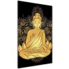 Vertikálny foto obraz sklenený Buddha a mandala 50x100 cm
