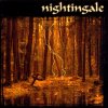 Nightingale: I (Re-Issue) - Vinyl (LP)