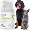 VetExpert Caryodent enzymatická zubná pasta 50 ml