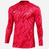 Nike Gardien V Goalkeeper DF VM sweatshirt FD7474-644 (200757) Sky Blue M