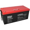 GOOWEI ENERGY CNLFP100-25.6 100Ah 25.6V