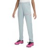 Nohavice Nike Dri-FIT Academy 25 Training Pants Kids hj3720-395 Veľkosť M (137-147 cm)