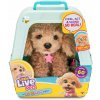 Interaktívny psík Little Live Pets Puppy Curley