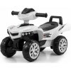 Lean Sport Řídicí jednotka JR1922RXS-3W-12V pro vozidlo XMX618 XMX608