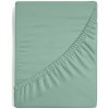 Plachta Bavlna s gumou Nova3 Mätová 140x200