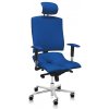 ASANA Seating Ergonomická kancelárska stolička Asana Architect Farba čalúnenia: Eko koža Modrá 567 11 farieb