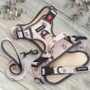 Hafkonaut Koalí Kamoši Set postroj vodítko a obojok Ultra Grip