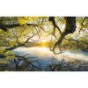 Komar Vliesová fototapeta Golden Embrace 400 x 250 cm