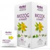 HERBEX Premium MOZOG A PAMÄŤ bylinná zmes čaj 20 x 1,5 g