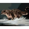 Zuty – Maľovanie Podľa Čísel – Leopard Na Snehu (D. Rusty Rust), 40 × 50 cm, Plátno + Rám 8596530173571