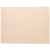ČistéDrevo Brezová preglejka (B/BB) - 6 x 600 x 400 mm