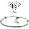 Pandora 599652C01-2+798416C01