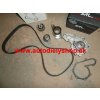 Renault MÉGANE SCENIC 9/99-4/03rozvody Sada 1,9 DTi-1,9DCi bez vod.pumpy