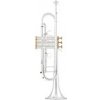 ARNOLDS&SONS Arnolds & Sons Bb-Trúbka ATR-5200GSG