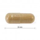 Jamieson Ashwagandha 600 mg 60 kapsúl