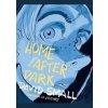 Home After Dark - David Small, Liveright