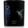 Vila Hermanos Jungletopia Hummingbird vonná sviečka 200 g
