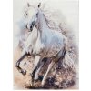 Obsession , 80x120 cm Detský kusový koberec Torino kids 235 WHITE HORSE, biela, detská izba