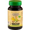 NEKTON Gelb 35g