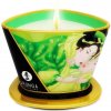 Shunga Candle Green Tea 170ml