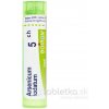 Arsenicum Iodatum gra.1 x 4 g 5CH