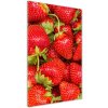 Vertikálny foto obraz akrylový na stenu Jahody 50x100 cm