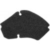 TECNIUM (VICMA) VZDUCHOVY FILTER - WKŁAD FILTRA PIAGGIO/VESPA ZIP 50 1996-1999 (9215)