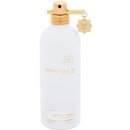 Montale Paris Nepal Aoud parfumovaná voda unisex 100 ml tester