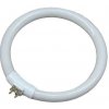 Homania Žiarivka EDM 30287 Náhradná náplň Okrúhly T4 Biela 12 W (6500 K)