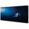 Obraz canvas space astronaut 100x50 cm