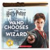Wand Chooses the Wizard (Harry Potter)