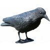 Dekorácia do záhrady - vrana - 40x13x20 PTA9240