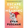Escape Into Meaning: Essays on Superman, Public Benches, and Other Obsessions