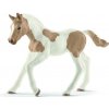 Schleich Schleich Zvieratko - Žriebä plemena Paint Horse OLP102613886