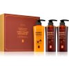 DAENG GI MEO RI Honey Therapy DAENG GI MEO RI Honey Therapy Professional Plus Treatment intenzivný regeneračný kondicionér 400 ml + DAENG GI MEO RI Honey Therapy Professional Plus Shampoo regeneračný