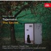 Orchestr Národního divadla: Smetana Bedřich - Tajemství - 2CD