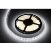 Rebel LED0130-3 lano studená biela 5m 12V