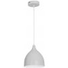 Luminex | Luster na lanku NOAK 1xE27/15W/230V šedá | LU9427